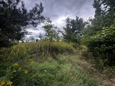 Działka Parcela-Obory