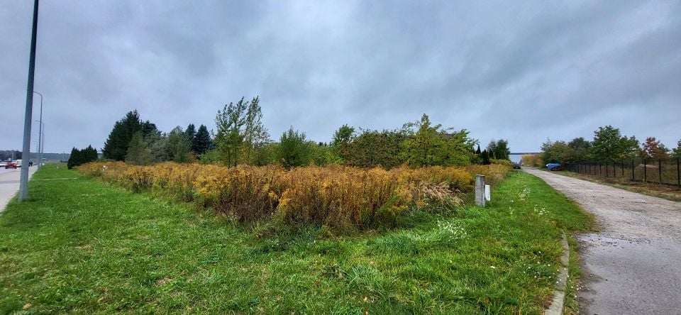 Działka budowlana Rosanów