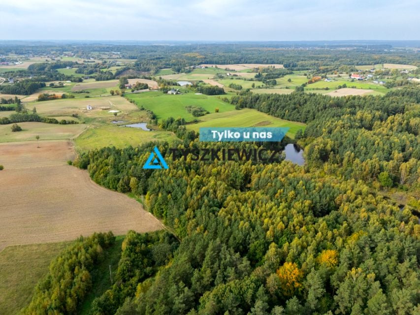 Działka rolna Nowa Wieś Przywidzka