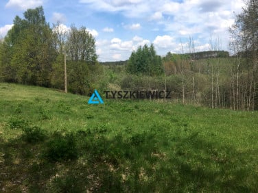 Działka rolna Skorzewo