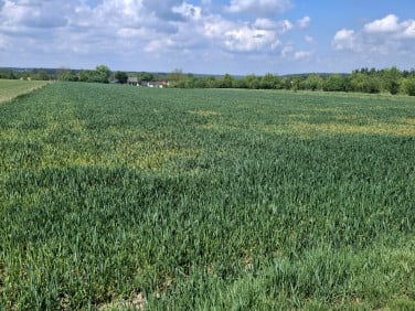 Działka budowlano-rolna Podgórze
