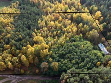 Działka inwestycyjna Gostchorz