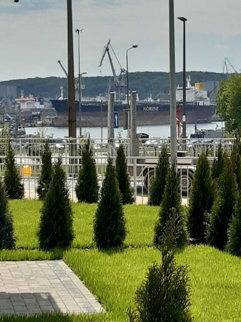 Wynajmę Mieszkanie Gdynia - 34 m²