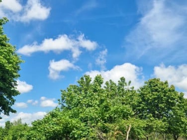 Działka Kobylnica