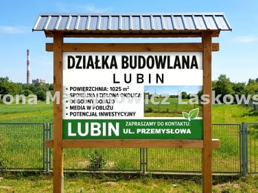 Działka Lubin