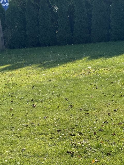 Wynajmę Mieszkanie Rzeszów - 51 m²