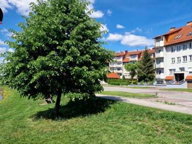 Mieszkanie Inowrocław wynajem