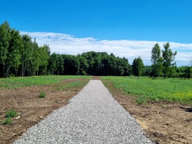 Działka budowlana Jeziora