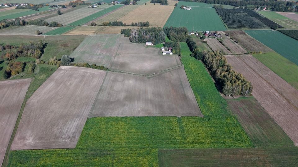 Dom Skarbikowo