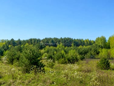 Działka Stare Byliny