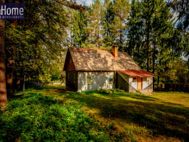 Dom Białogorce