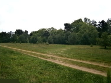 Działka budowlana Arciechów