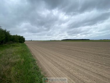 Działka Borki Siedleckie