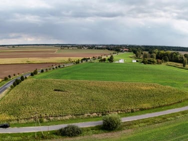 Działka usługowa Gniechowice