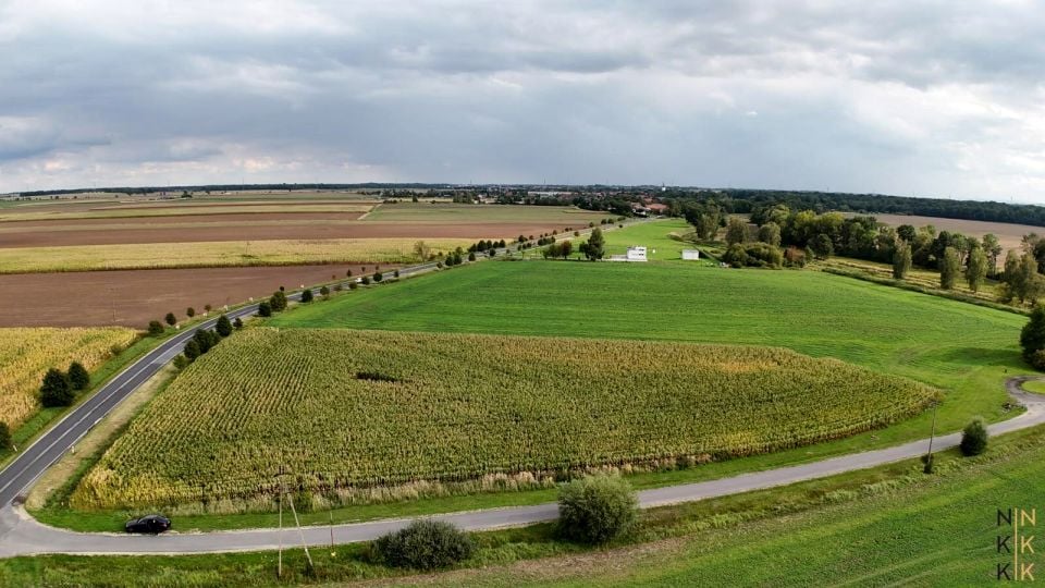 Działka usługowa Gniechowice