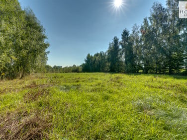 Działka Szałkowo