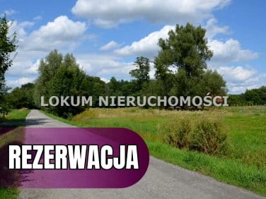 Działka Radgoszcz