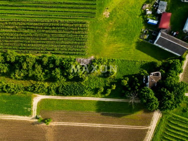 Dom Cychrowska Wola