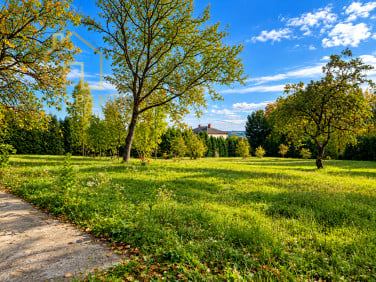 Działka Pruchnik