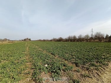 Działka Stok Lacki