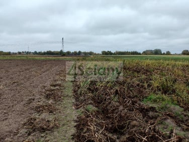 Działka budowlana Kampinos A