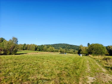 Działka budowlana Kurów