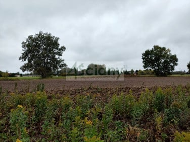 Działka budowlana Kampinos A
