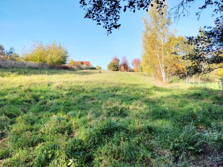 Sprzedam działkę Rzeszów - 4 782 m²