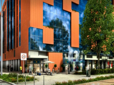 Lokal Wrocław