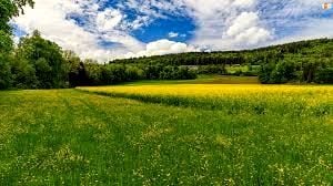 Sprzedam działkę Mysłowice - 31 000 m²