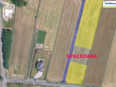 Działka Adamów