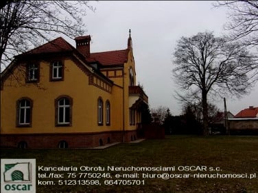Lokal Zgorzelec