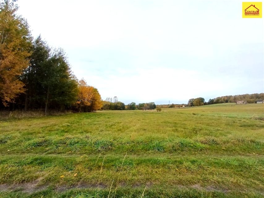 Sprzedam działkę Rybnik - 4 390 m²
