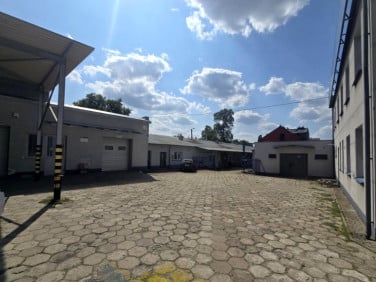 Lokal Lublin