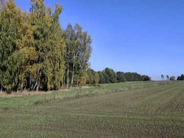 Działka budowlana Nuna