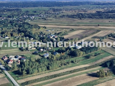 Dom Rokitno