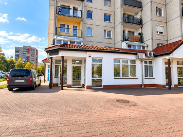 Lokal Zielona Góra