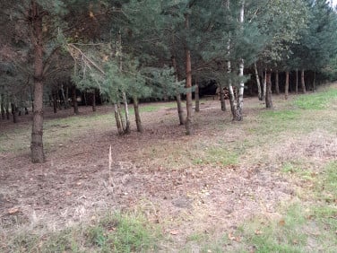 Działka budowlana Rokitnica