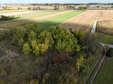Działka rolna Krzyżanów