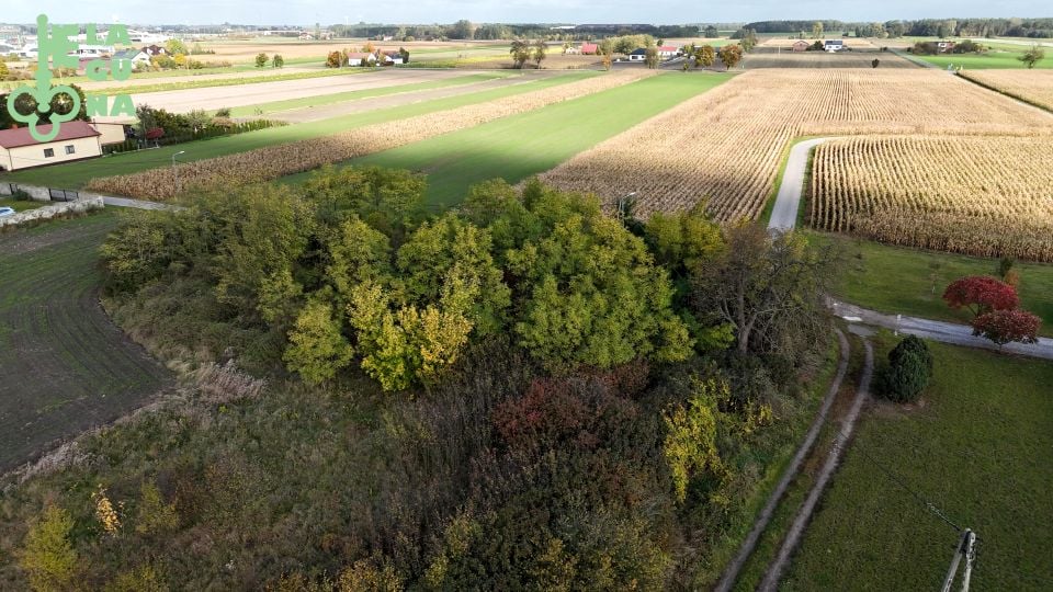 Działka rolna Krzyżanów