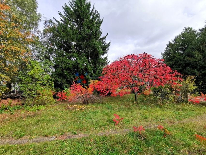 Sprzedam działkę Grodzisk Mazowiecki - 2 521 m²
