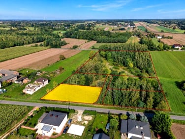 Działka budowlana Bechcice-Kolonia