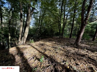 Działka budowlana Siestrzeń