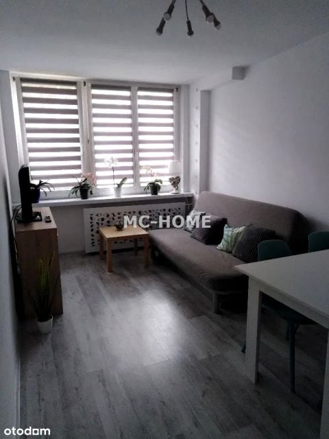 Wynajmę Mieszkanie Katowice - 38,50 m²