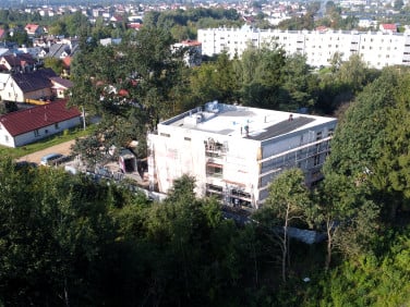 Lokal Zaścianki
