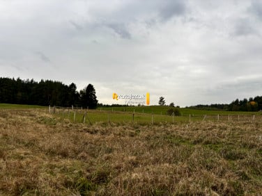 Działka przy lesie