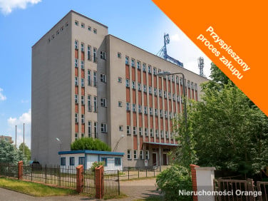 Lokal Włocławek