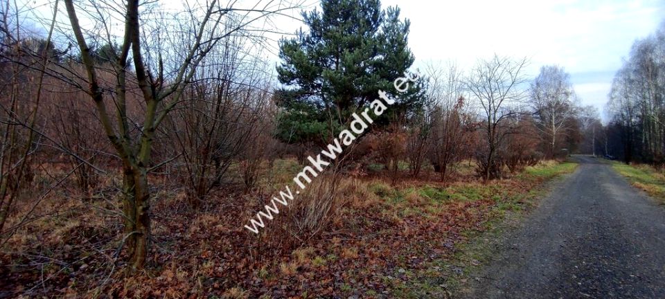 Działka budowlana Budy-Grzybek