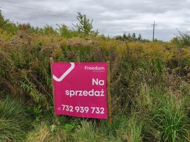 Działka Kieźliny