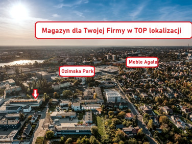 Lokal Opole